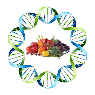 dna_cibo